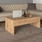 Coffee Table WITH SECRETS Oak 110x60x44,8cm